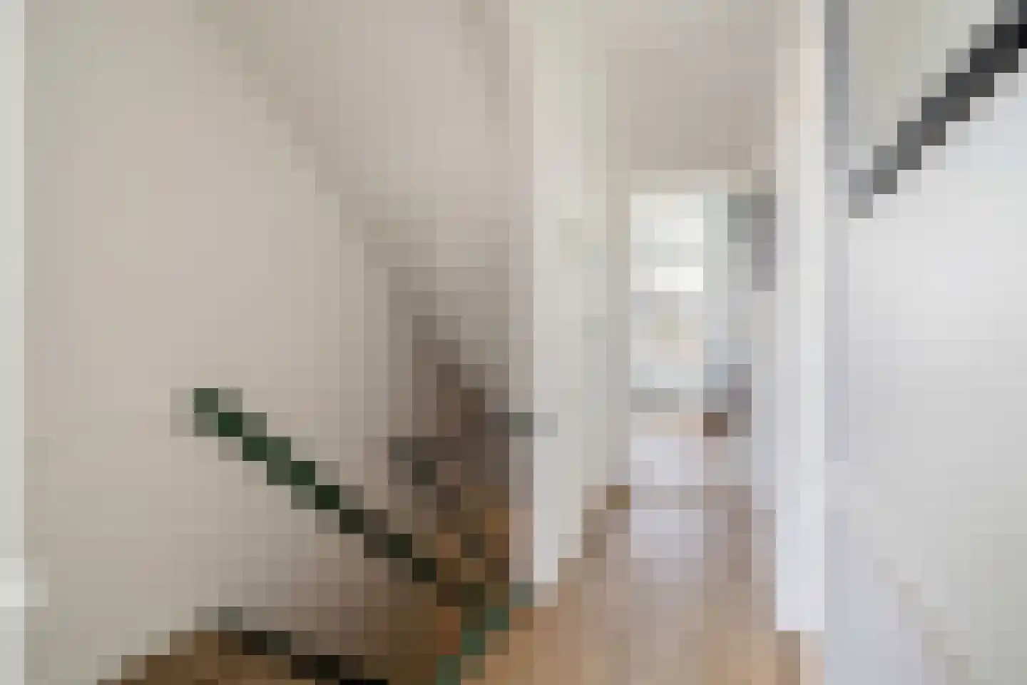 Zwartelaan 21 Voorburg thumbnail 29