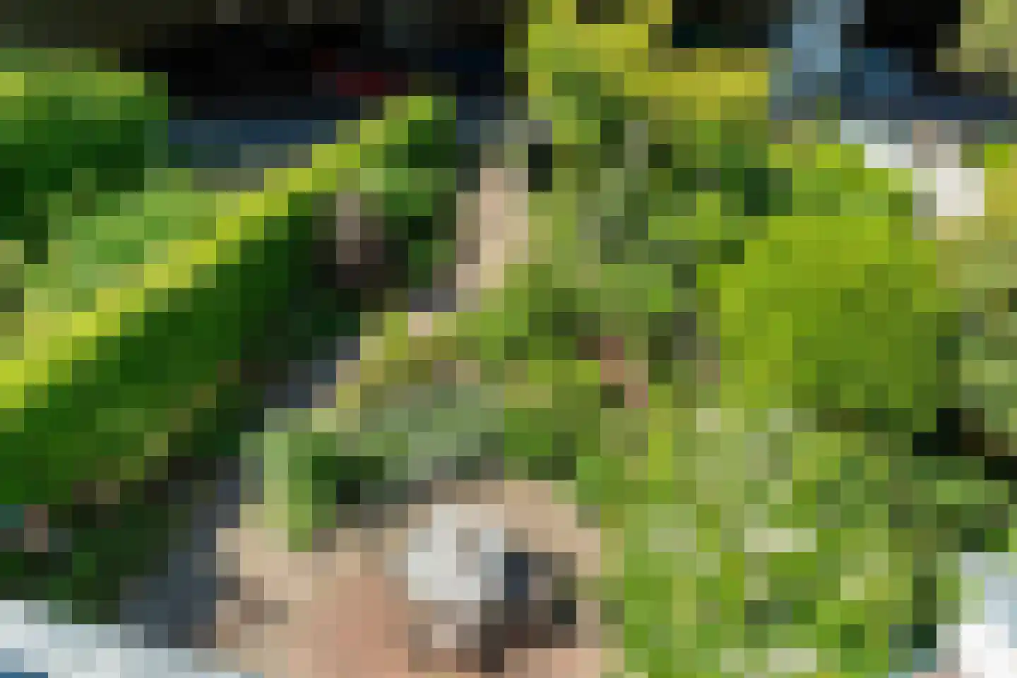 Zwartelaan 21 Voorburg thumbnail 35