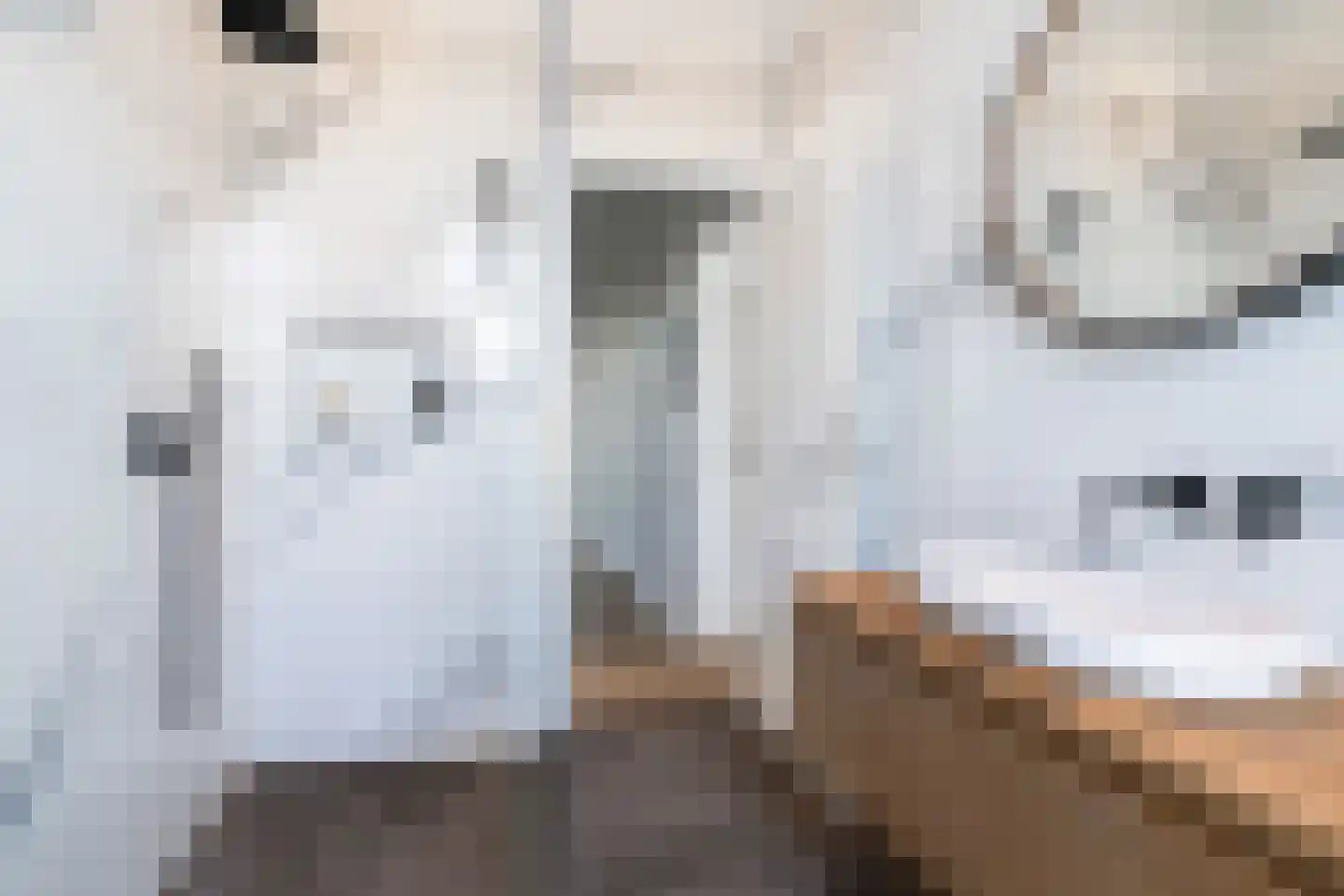 Zwartelaan 21 Voorburg thumbnail 42