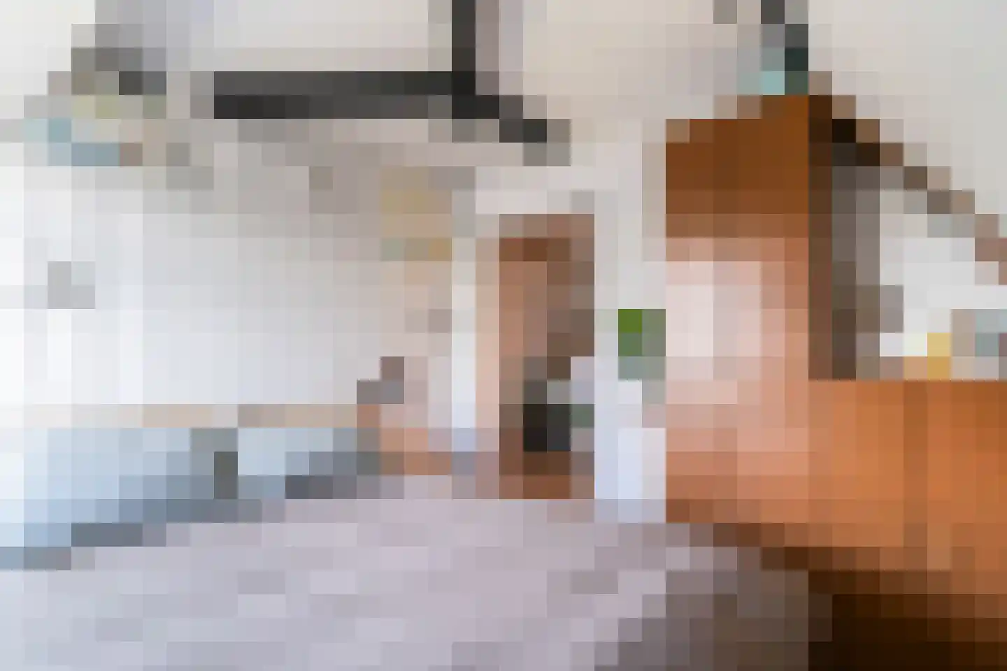Zwartelaan 21 Voorburg thumbnail 51