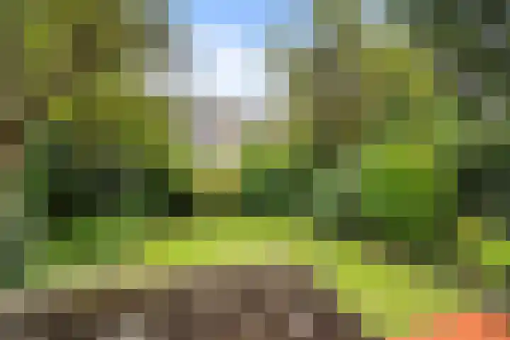 Zwartelaan 29 Voorburg thumbnail 14