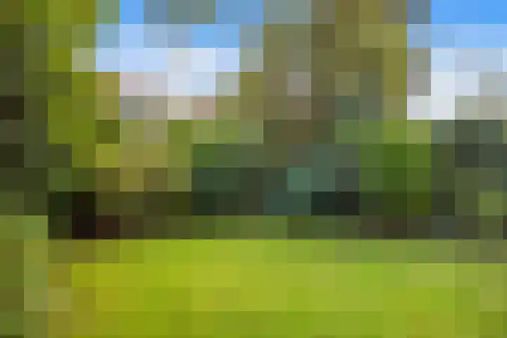 Zwartelaan 29 Voorburg thumbnail 15
