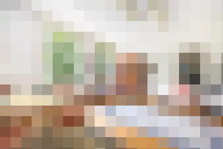 Zwartelaan 29 Voorburg thumbnail 20