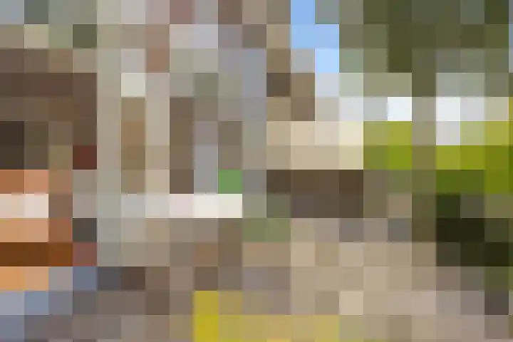 Zwartelaan 29 Voorburg thumbnail 22