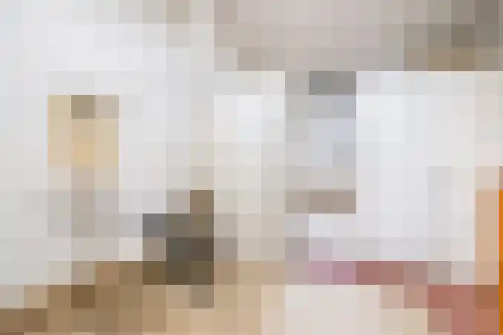 Zwartelaan 29 Voorburg thumbnail 35