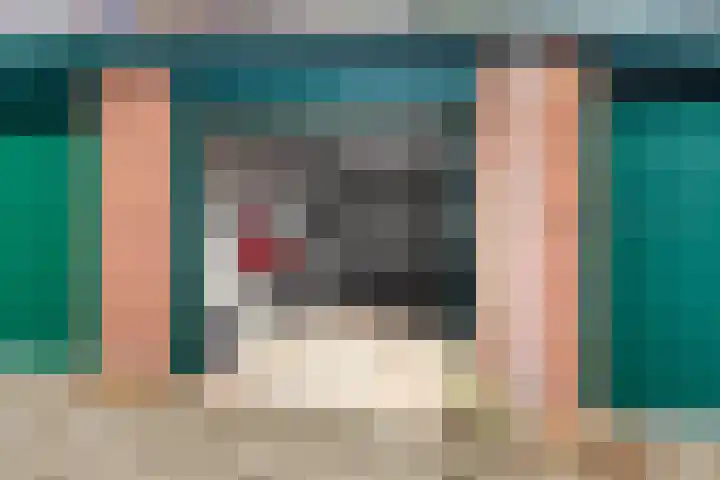 Zwartelaan 29 Voorburg thumbnail 39