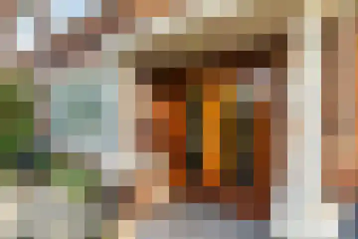 Zwartelaan 37 Voorburg thumbnail 10