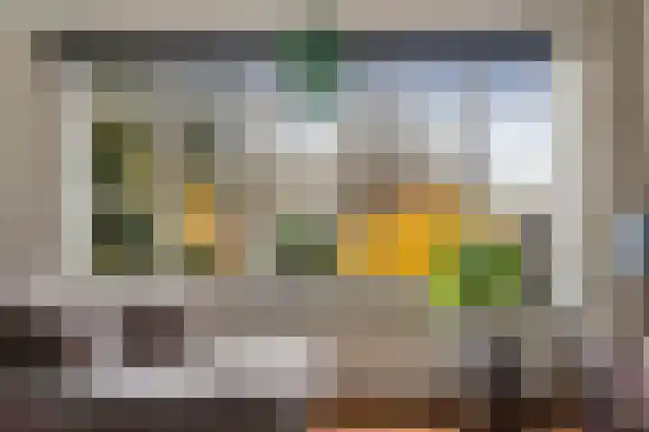 Zwartelaan 37 Voorburg thumbnail 23