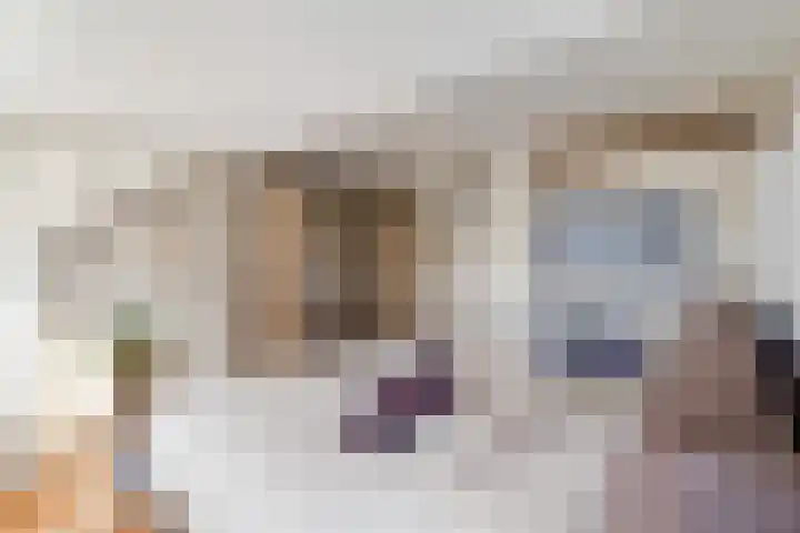 Zwartelaan 37 Voorburg thumbnail 38