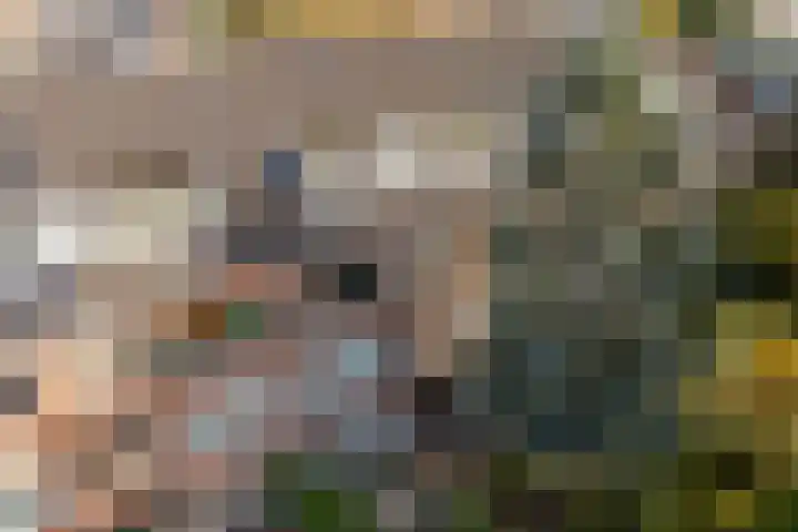 Zwartelaan 37 Voorburg thumbnail 48