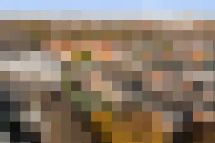 Zwartelaan 37 Voorburg thumbnail 49