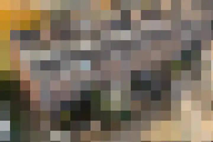 Zwartelaan 37 Voorburg thumbnail 51