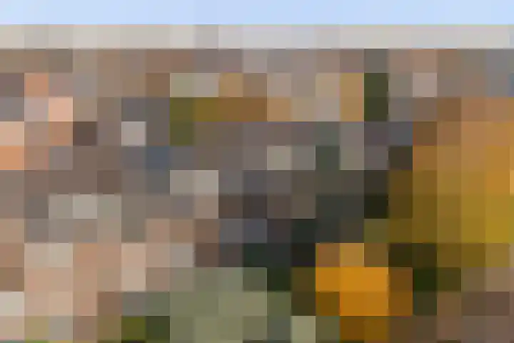 Zwartelaan 37 Voorburg thumbnail 7
