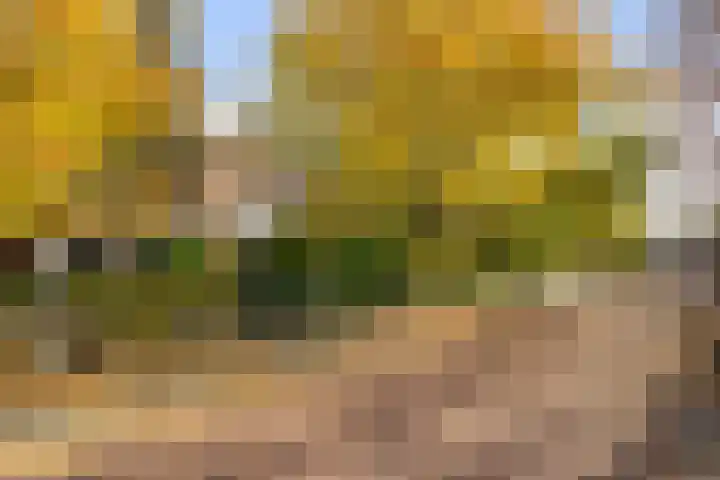 Zwartelaan 37 Voorburg thumbnail 8