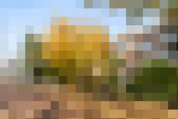 Zwartelaan 37 Voorburg thumbnail 9