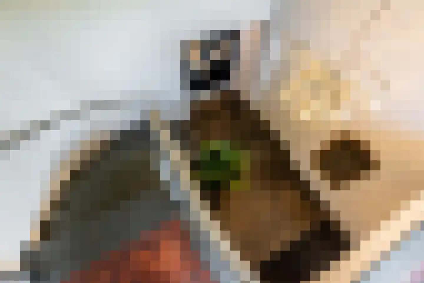 Zwartelaan 4 Oostvoorne thumbnail 35