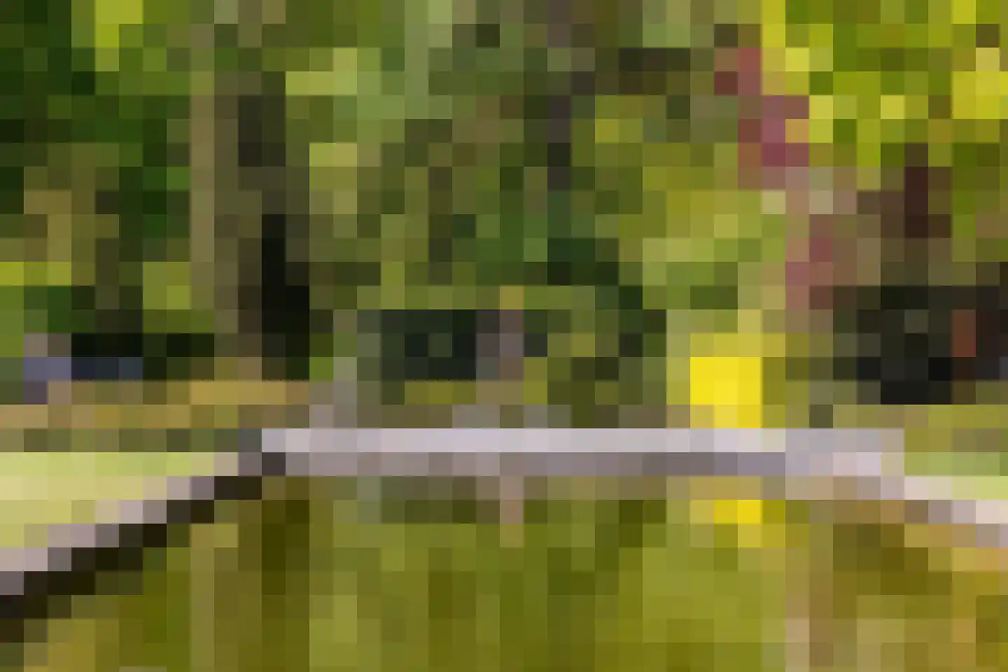 Zwartelaan 4 Oostvoorne thumbnail 4