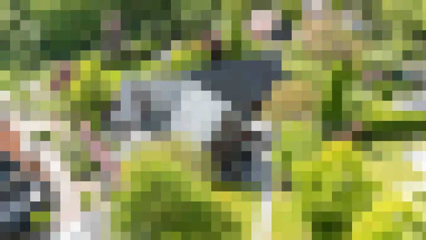 Zwartelaan 4 Oostvoorne thumbnail 5