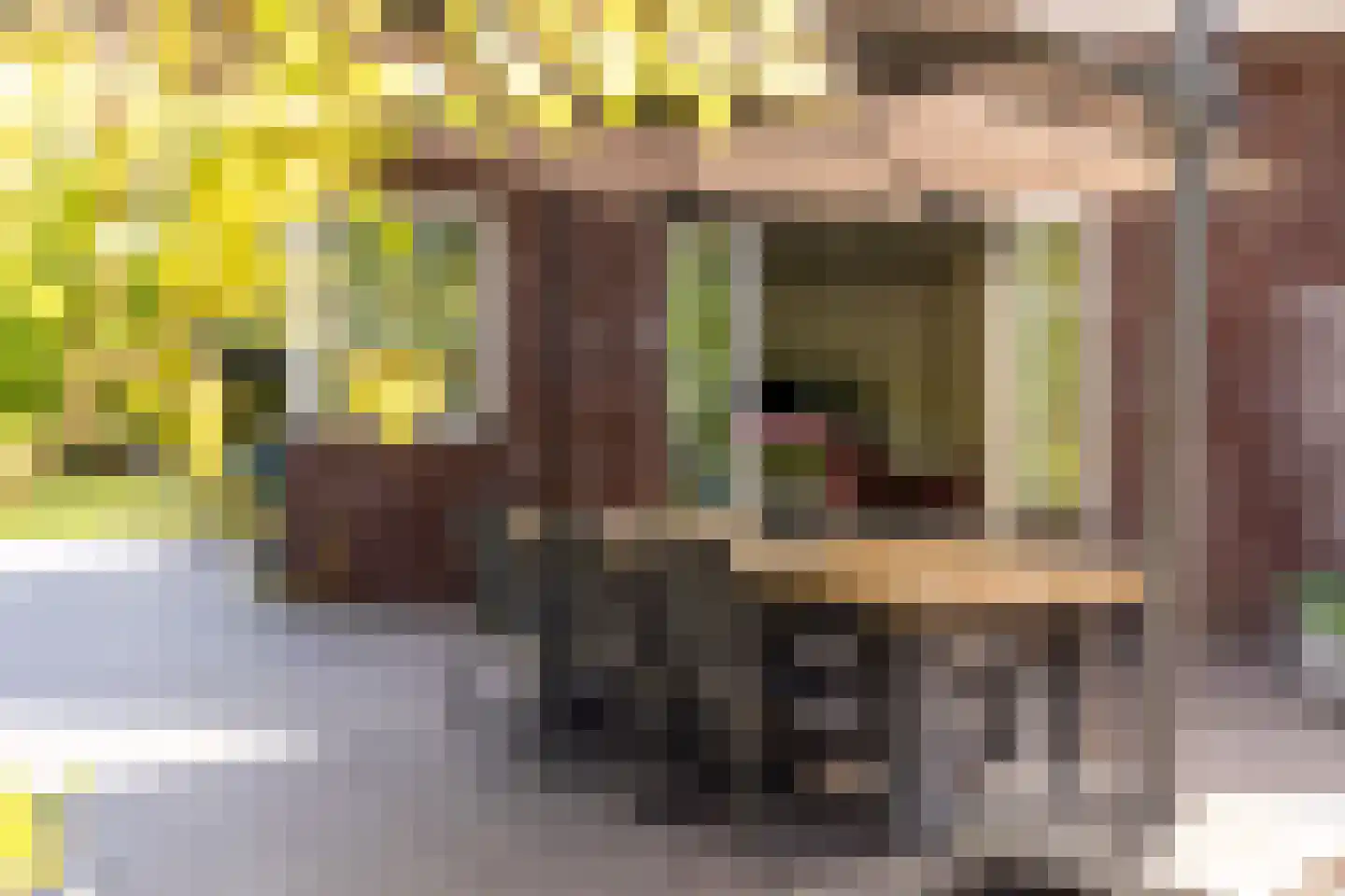 Zwartelaan 4 Oostvoorne thumbnail 58