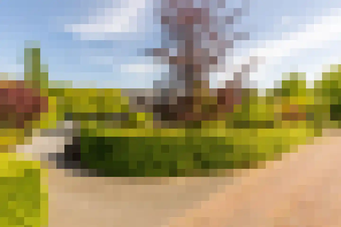 Zwartelaan 4 Oostvoorne thumbnail 6