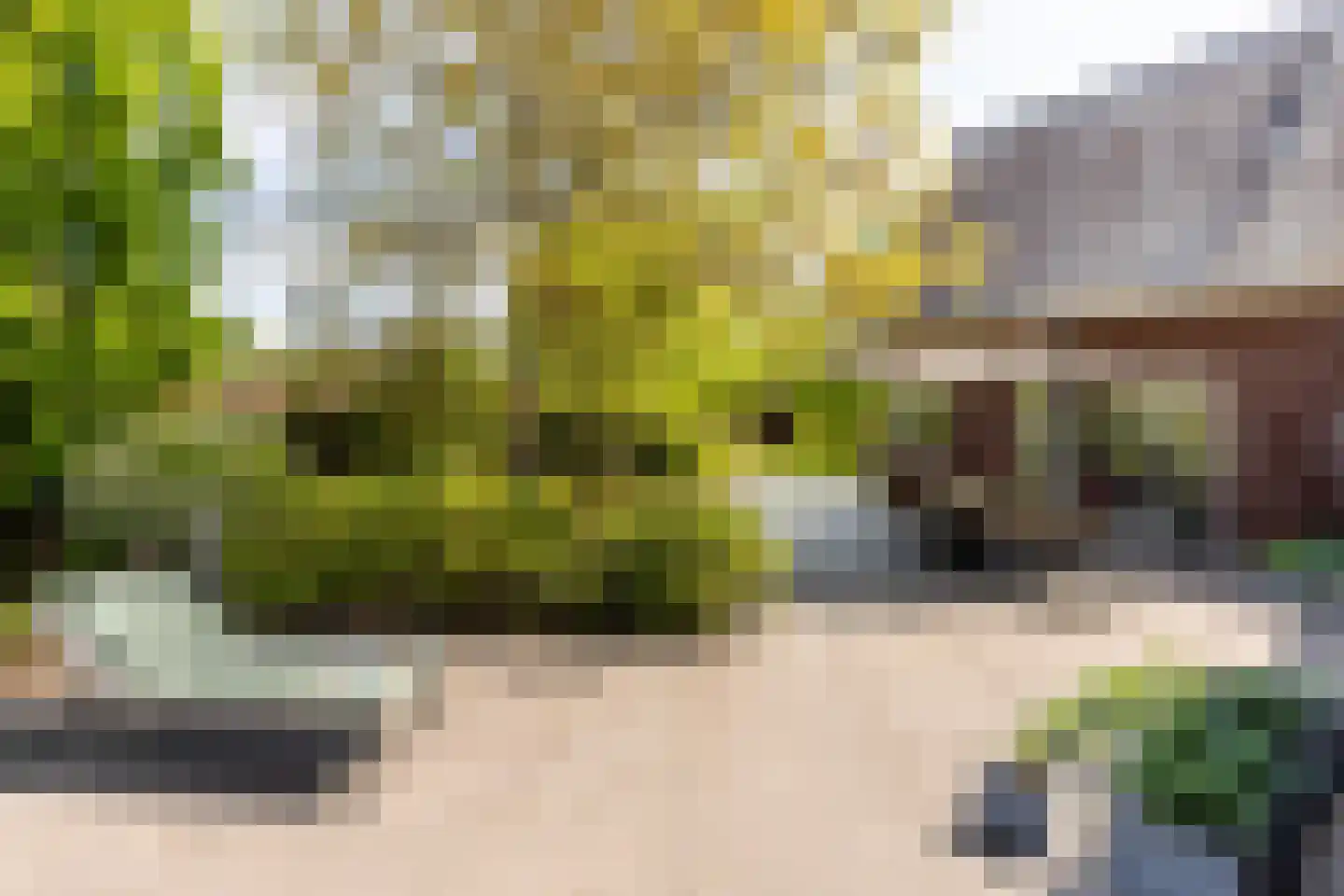 Zwartelaan 4 Oostvoorne thumbnail 62
