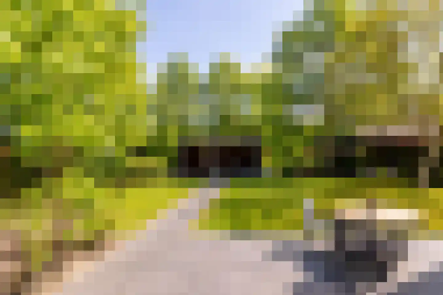 Zwartelaan 4 Oostvoorne thumbnail 63