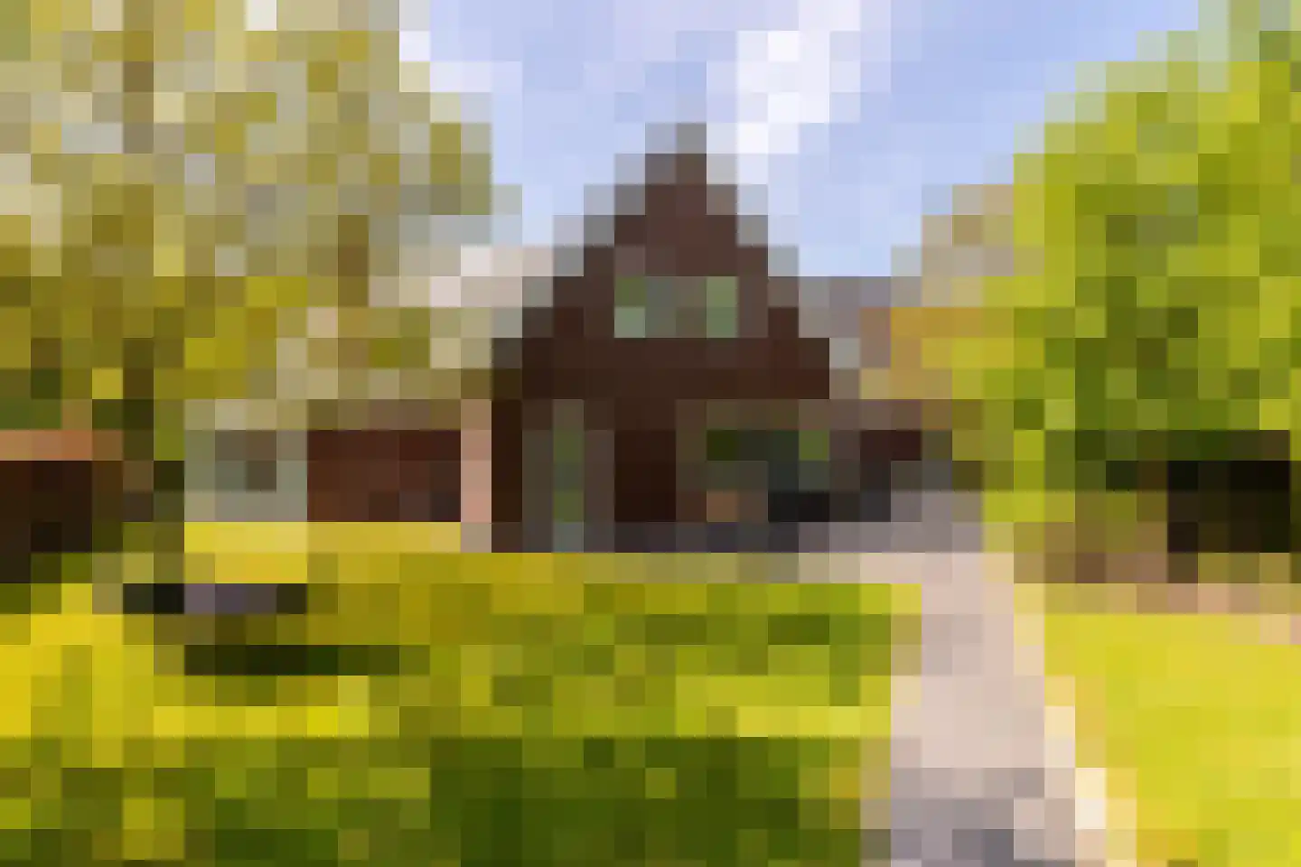 Zwartelaan 4 Oostvoorne thumbnail 66