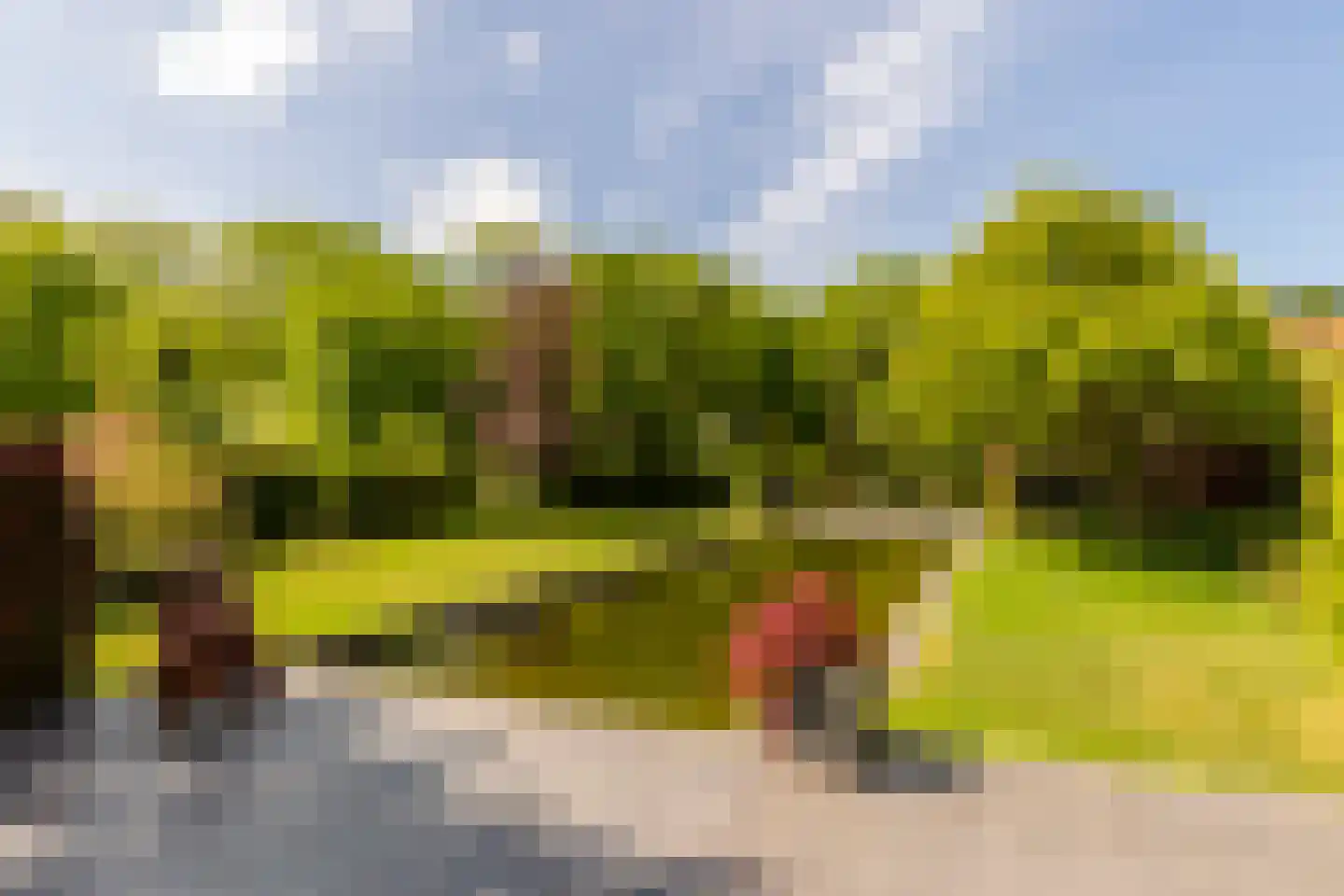 Zwartelaan 4 Oostvoorne thumbnail 68