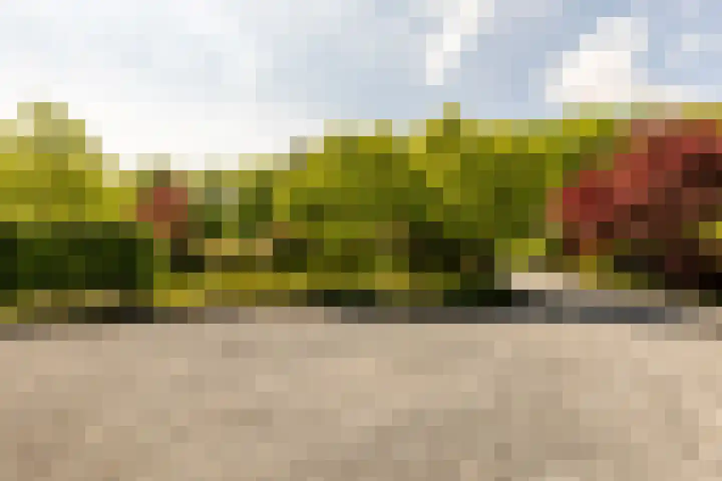 Zwartelaan 4 Oostvoorne thumbnail 69