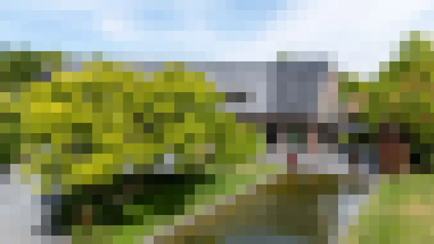 Zwartelaan 4 Oostvoorne thumbnail 7