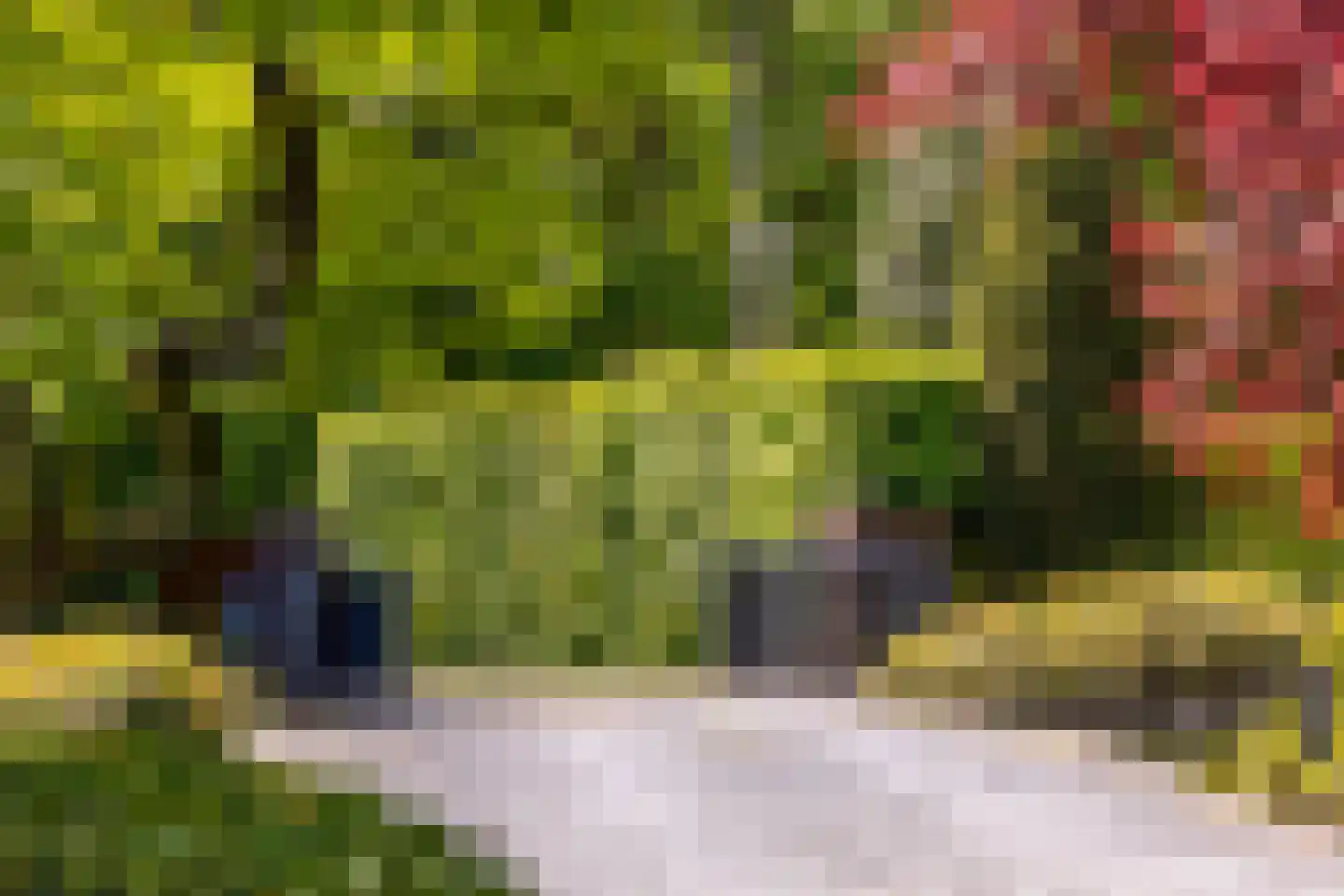 Zwartelaan 4 Oostvoorne thumbnail 70