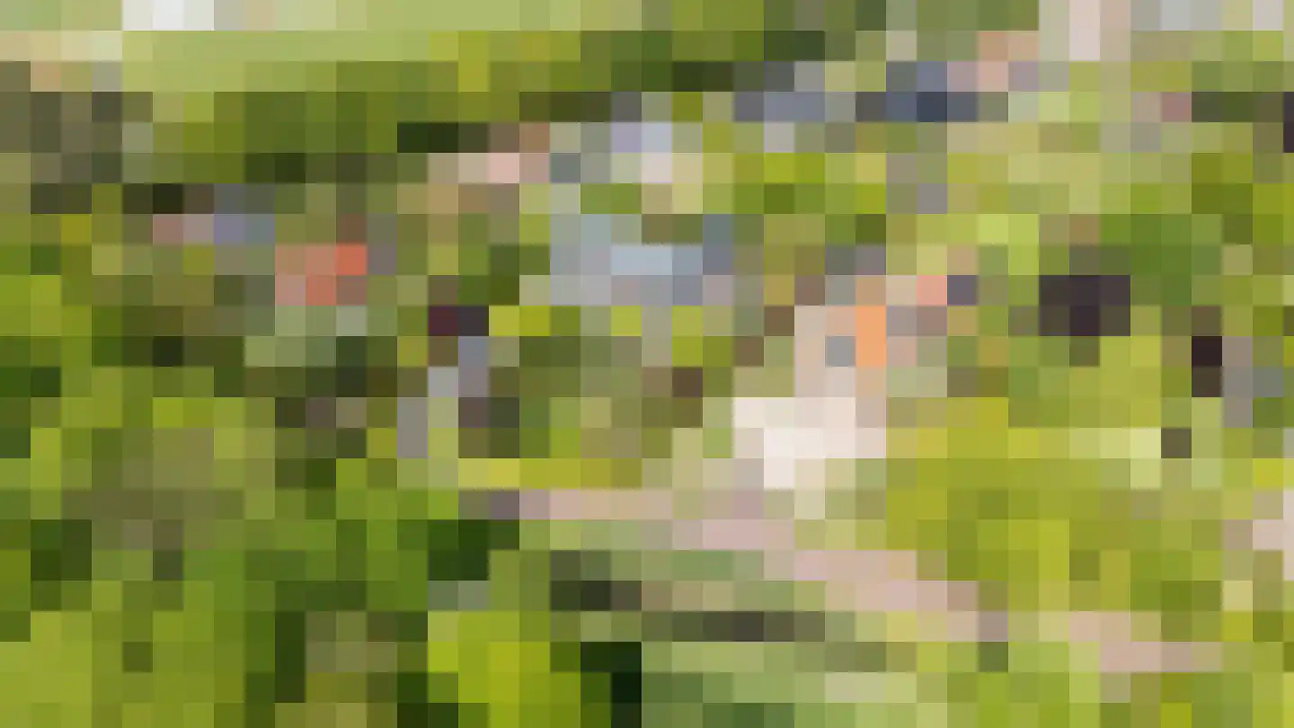 Zwartelaan 4 Oostvoorne thumbnail 73