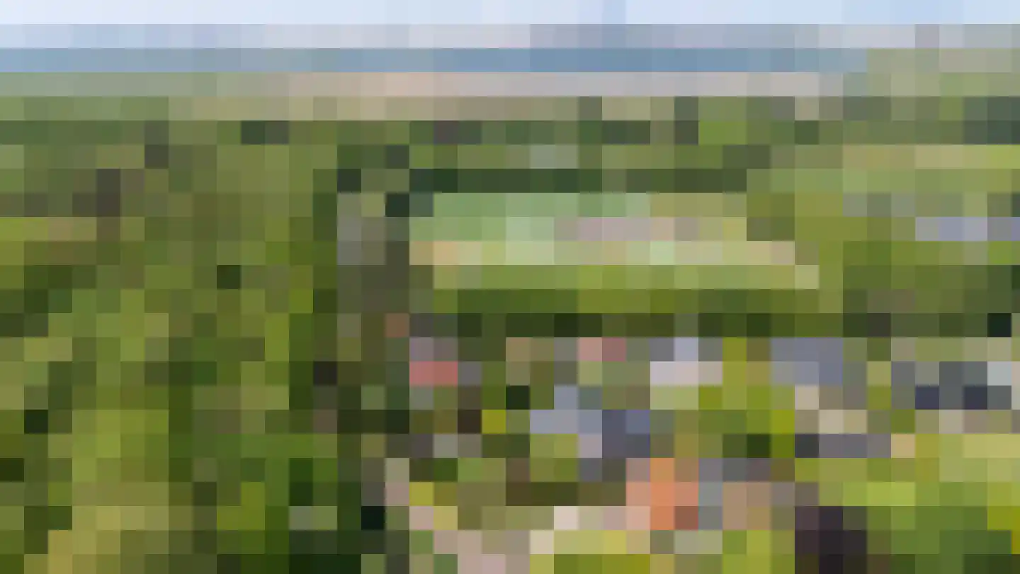 Zwartelaan 4 Oostvoorne thumbnail 74