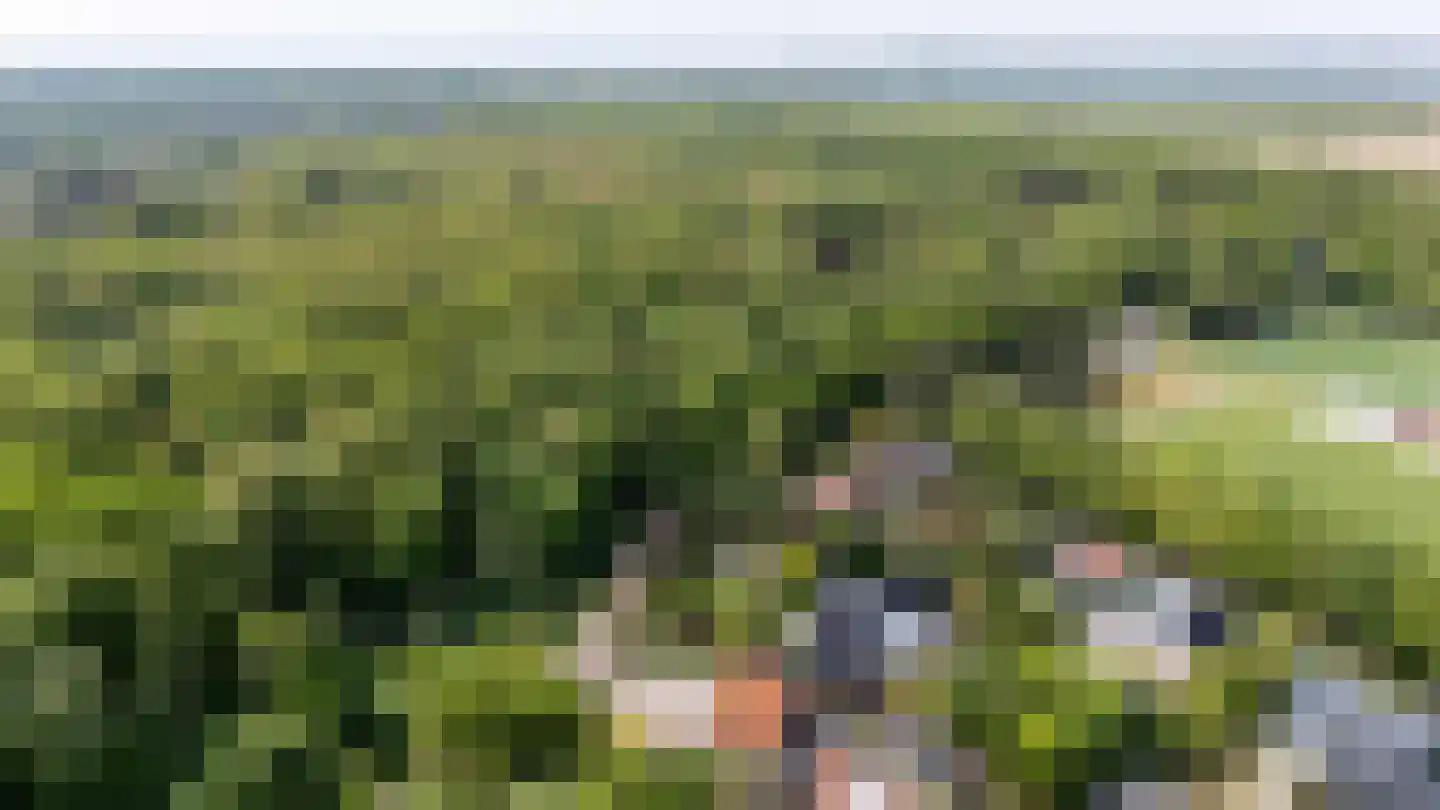 Zwartelaan 4 Oostvoorne thumbnail 75