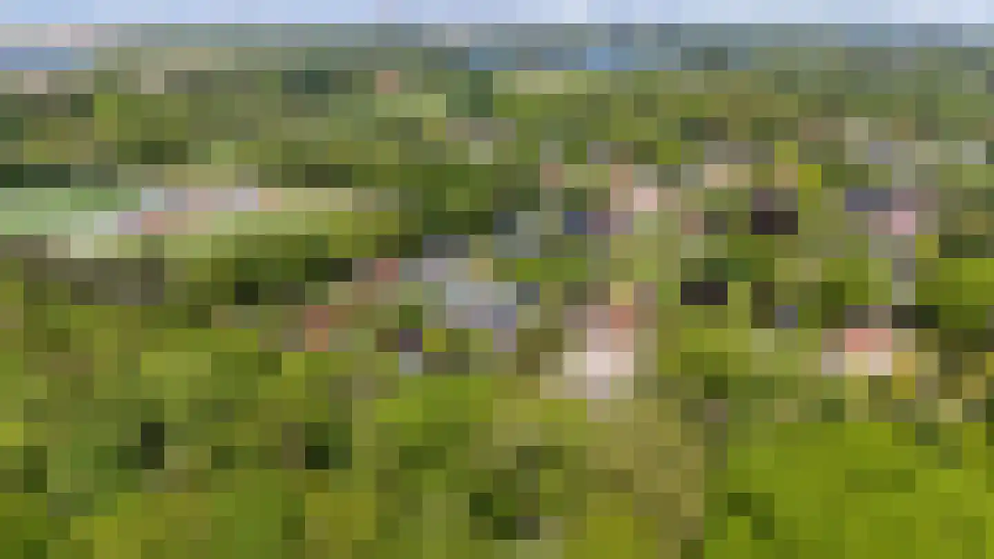Zwartelaan 4 Oostvoorne thumbnail 76