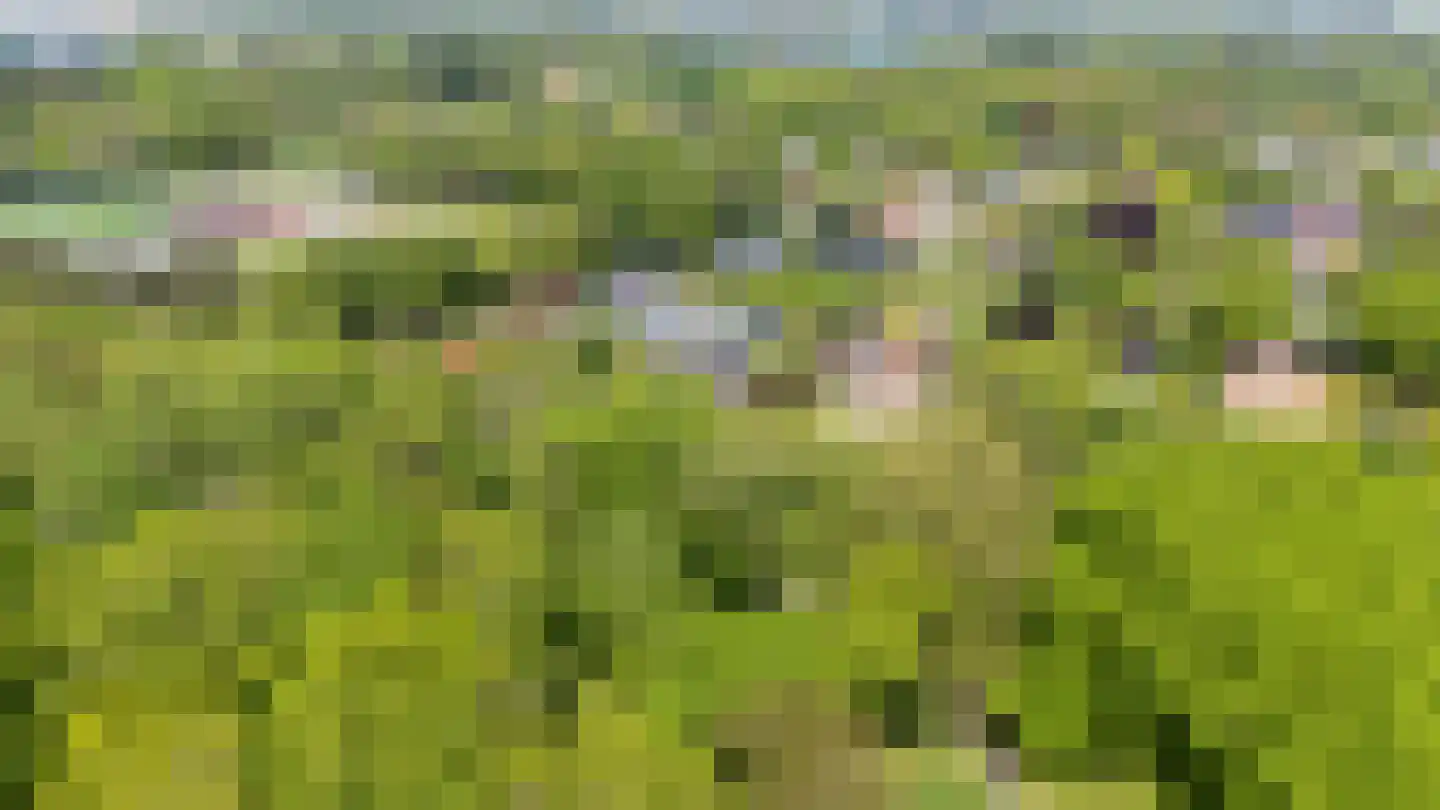 Zwartelaan 4 Oostvoorne thumbnail 77