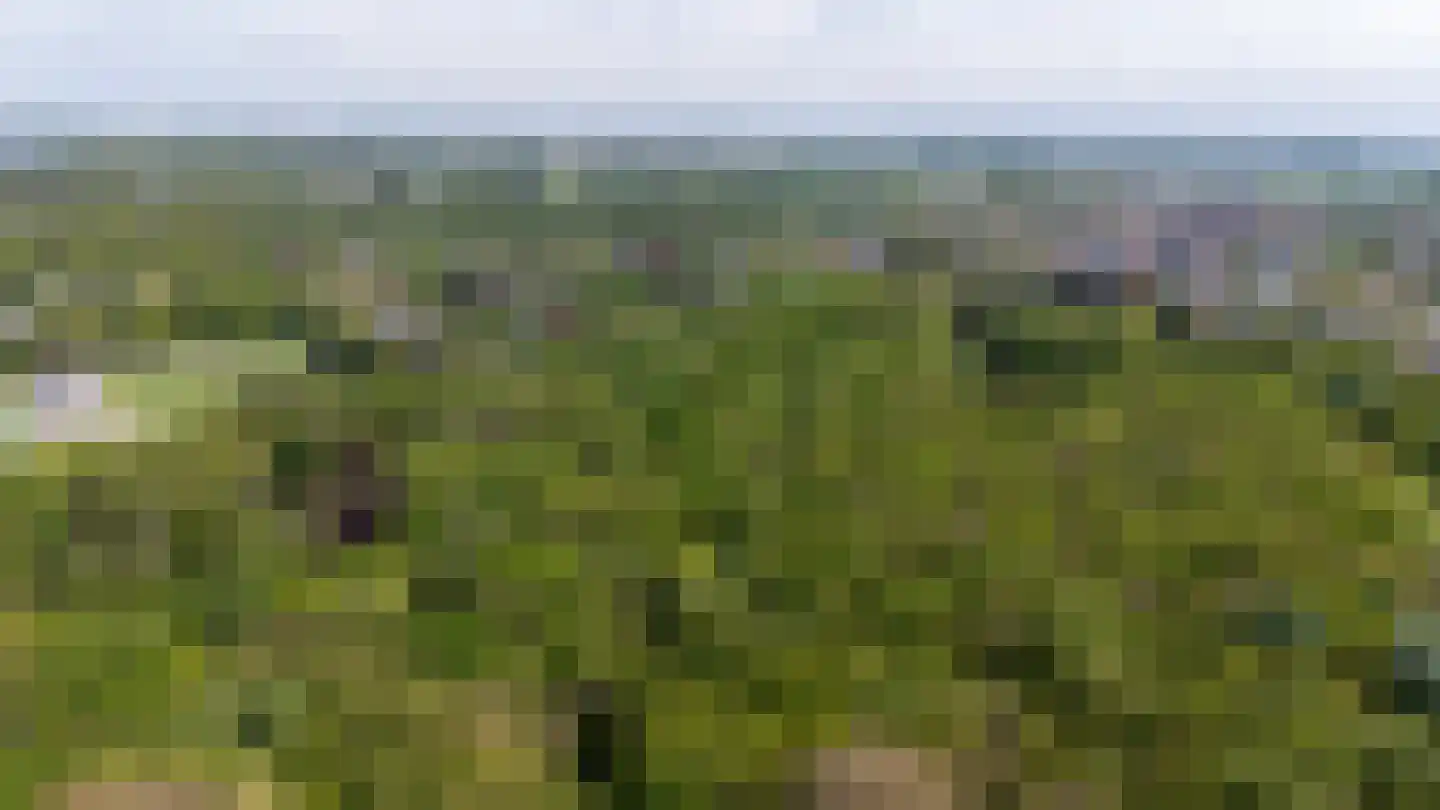 Zwartelaan 4 Oostvoorne thumbnail 78