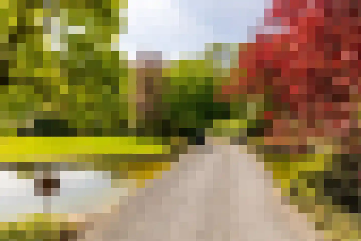 Zwartelaan 4 Oostvoorne thumbnail 9