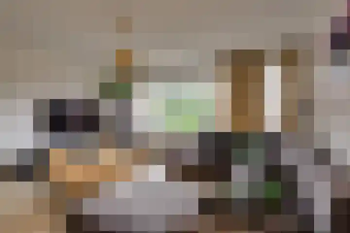 Zwartelaan 44 Voorburg thumbnail 10