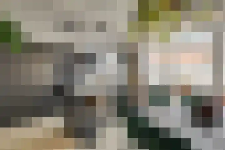 Zwartelaan 44 Voorburg thumbnail 12