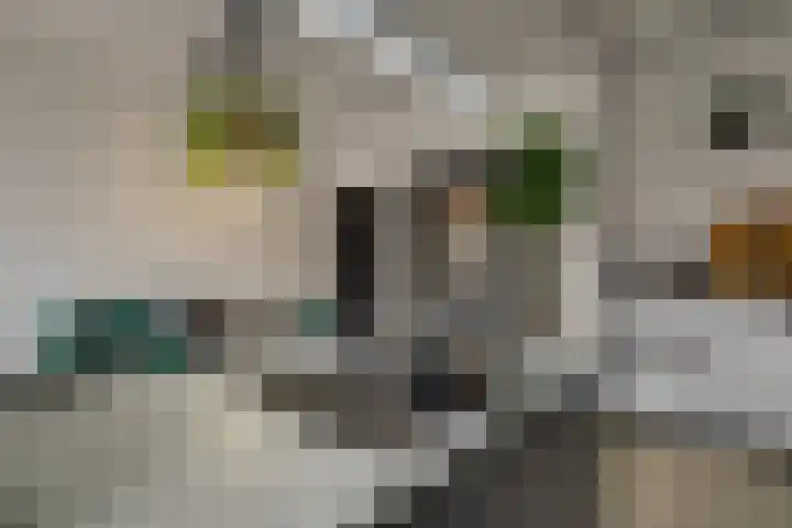 Zwartelaan 44 Voorburg thumbnail 14