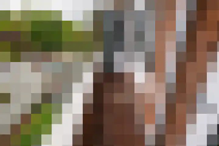 Zwartelaan 44 Voorburg thumbnail 15