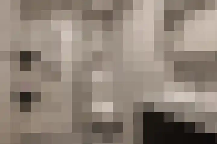 Zwartelaan 44 Voorburg thumbnail 20