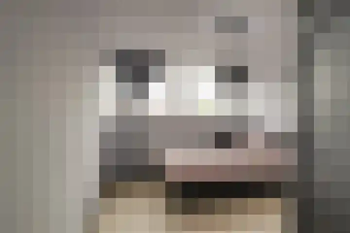 Zwartelaan 44 Voorburg thumbnail 21