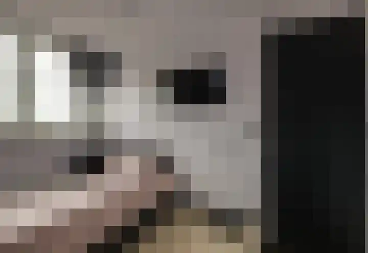 Zwartelaan 44 Voorburg thumbnail 22