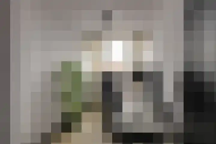 Zwartelaan 44 Voorburg thumbnail 23