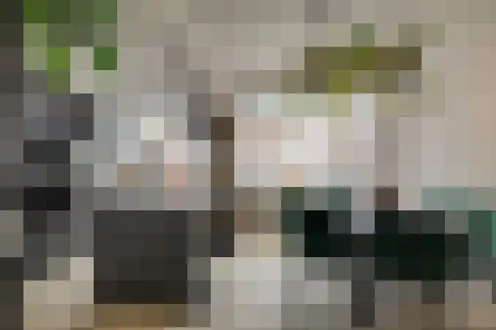 Zwartelaan 44 Voorburg thumbnail 4