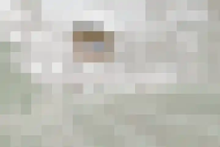 Zwartelaan 44 Voorburg thumbnail 5