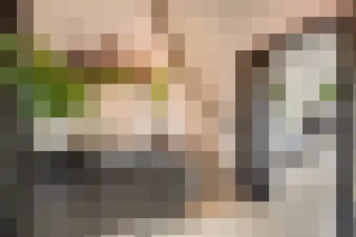 Zwartelaan 44 Voorburg thumbnail 8