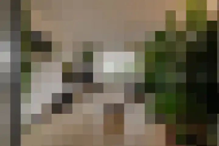 Zwartelaan 44 Voorburg thumbnail 9